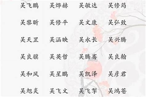 吳取名|吳姓寓意好的男孩名字（精選200個）